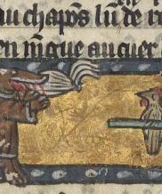 Renard, moine, chapons