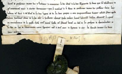 Charte en français de 1265 : Vente du pressoir du Chesnoy à la léproserie de Pontfraud. Archives départementales de l’Yonne, H 2405.
