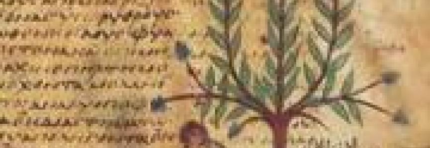 Image : folio 5 du Parisinus gr. 2179 (Bibliothèque nationale de France) Image : folio 5 du Parisinus gr. 2179 (Bibliothèque nationale de France)